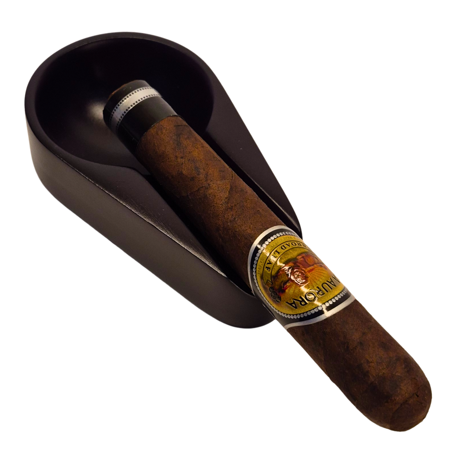 Cigar with a band in a black humidor on a white background